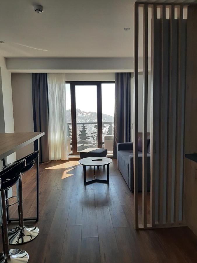 Vihor A21 Apartment Kopaonik Exterior photo